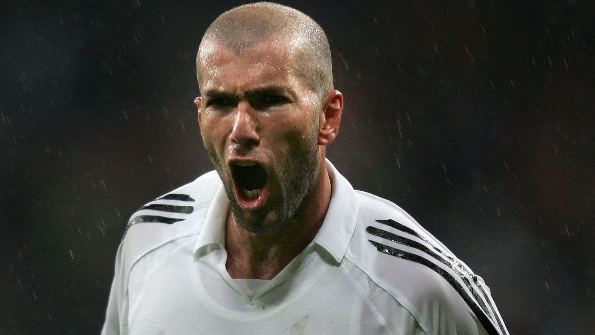 可能是双刃 可能是双刃