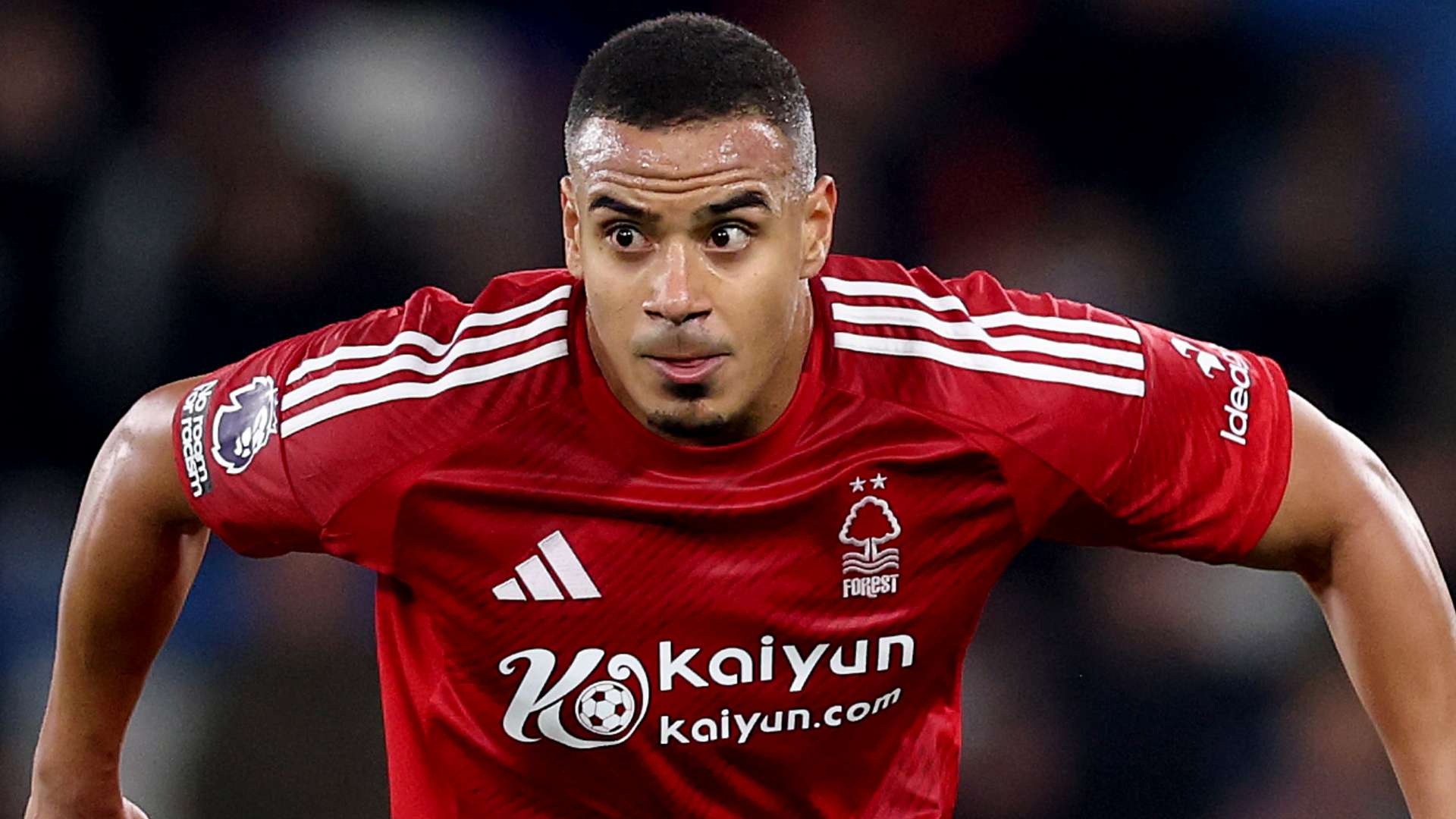 甚至让许多 甚至让许多