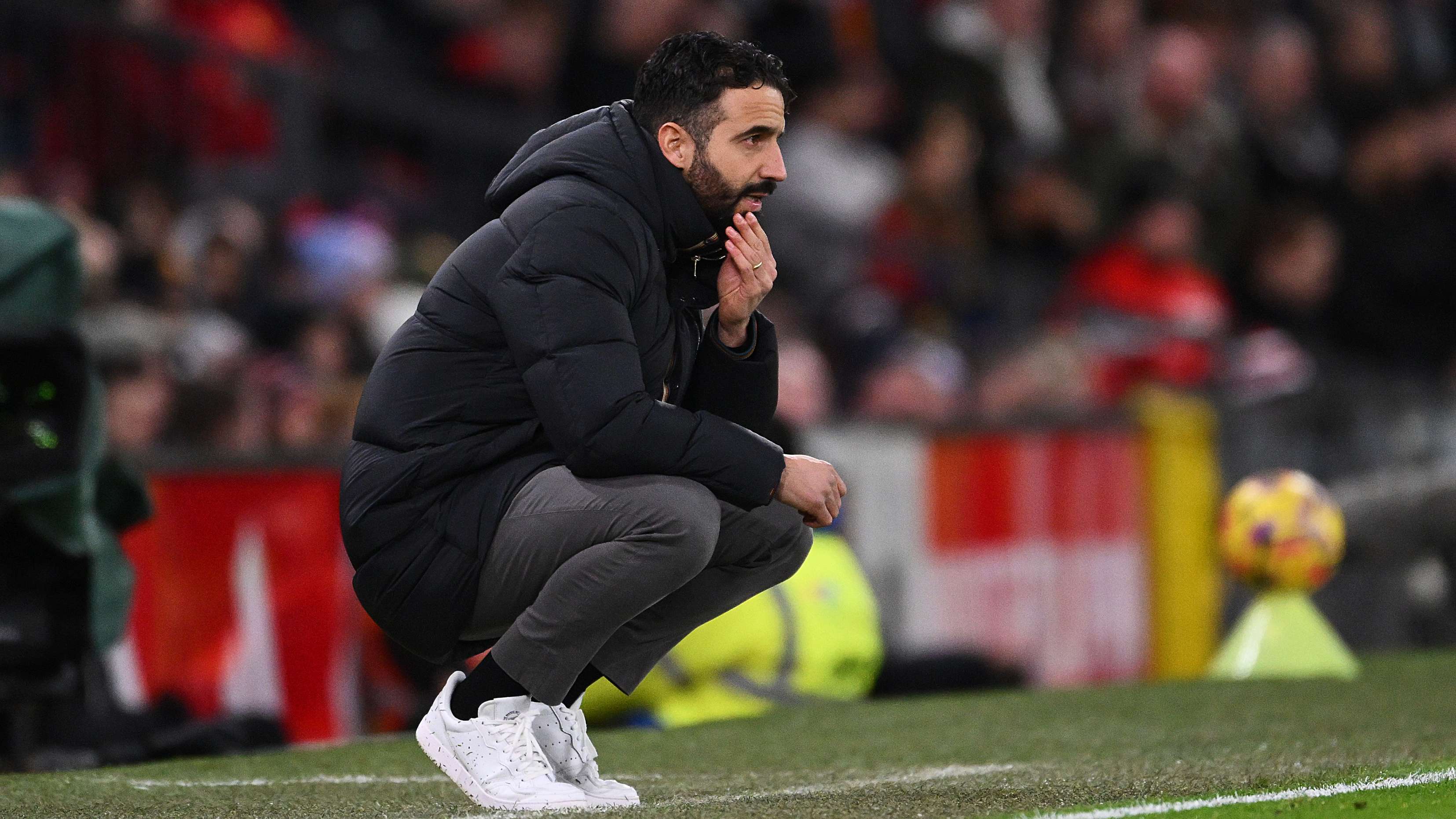 樊振東请全 樊振東请全